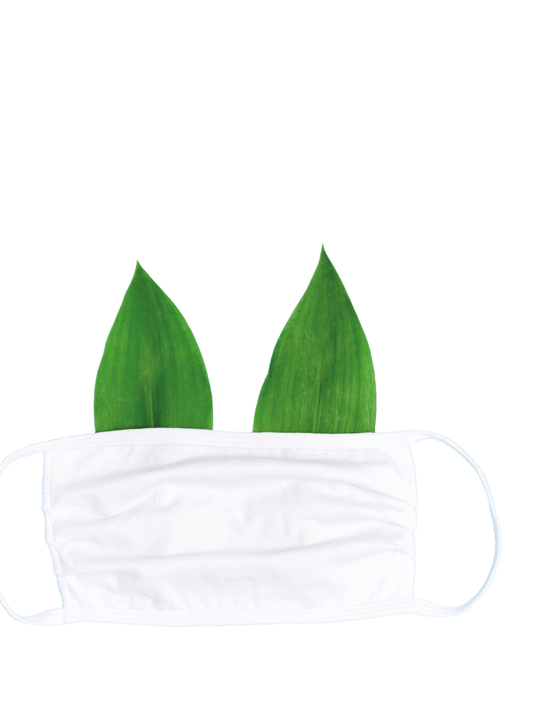 Medical fabric mask with green leaves as ears  Blue background with copy space  Flat lay  Minimal style 