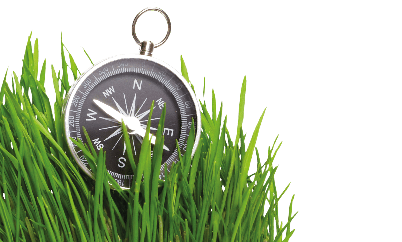 compass in green grass