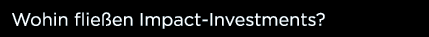 Wohin flie en Impact-Investments 